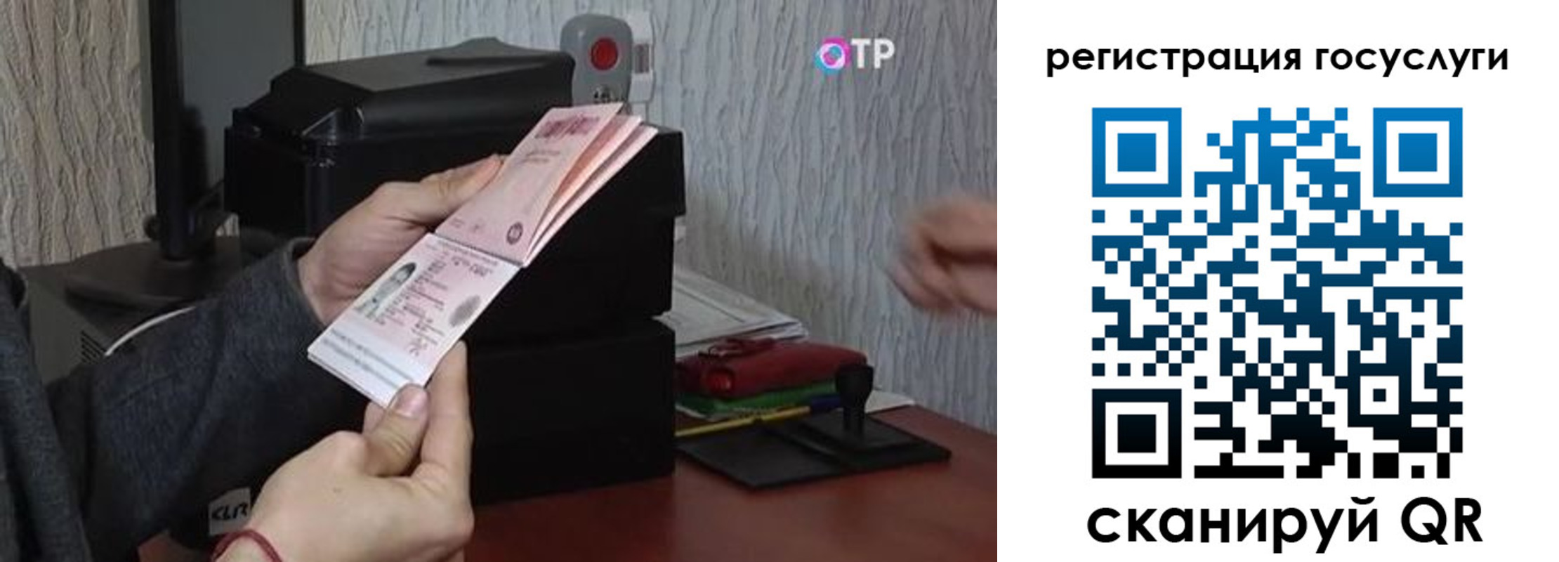 прописка для работы в Коле
