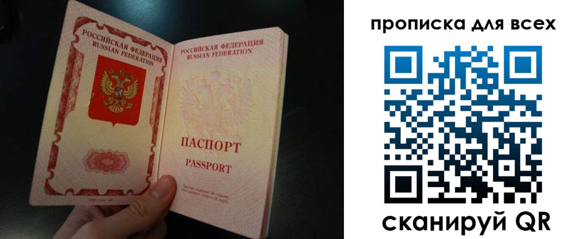 временная регистрация поиск в Коле